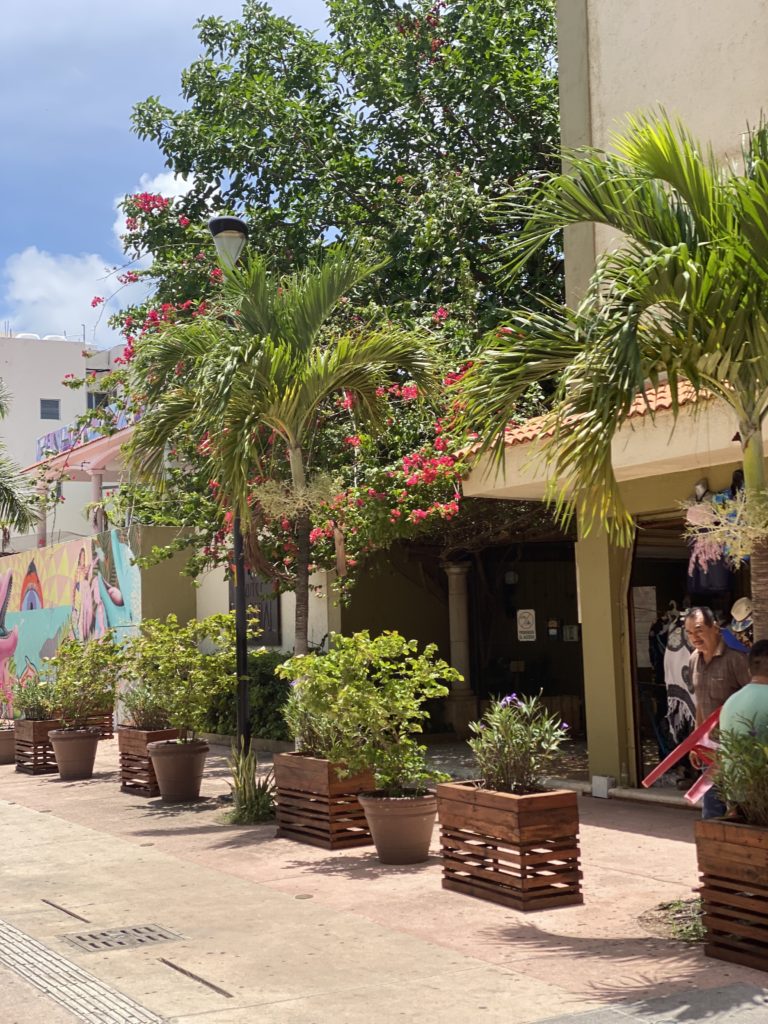 No worries in Cozumel
