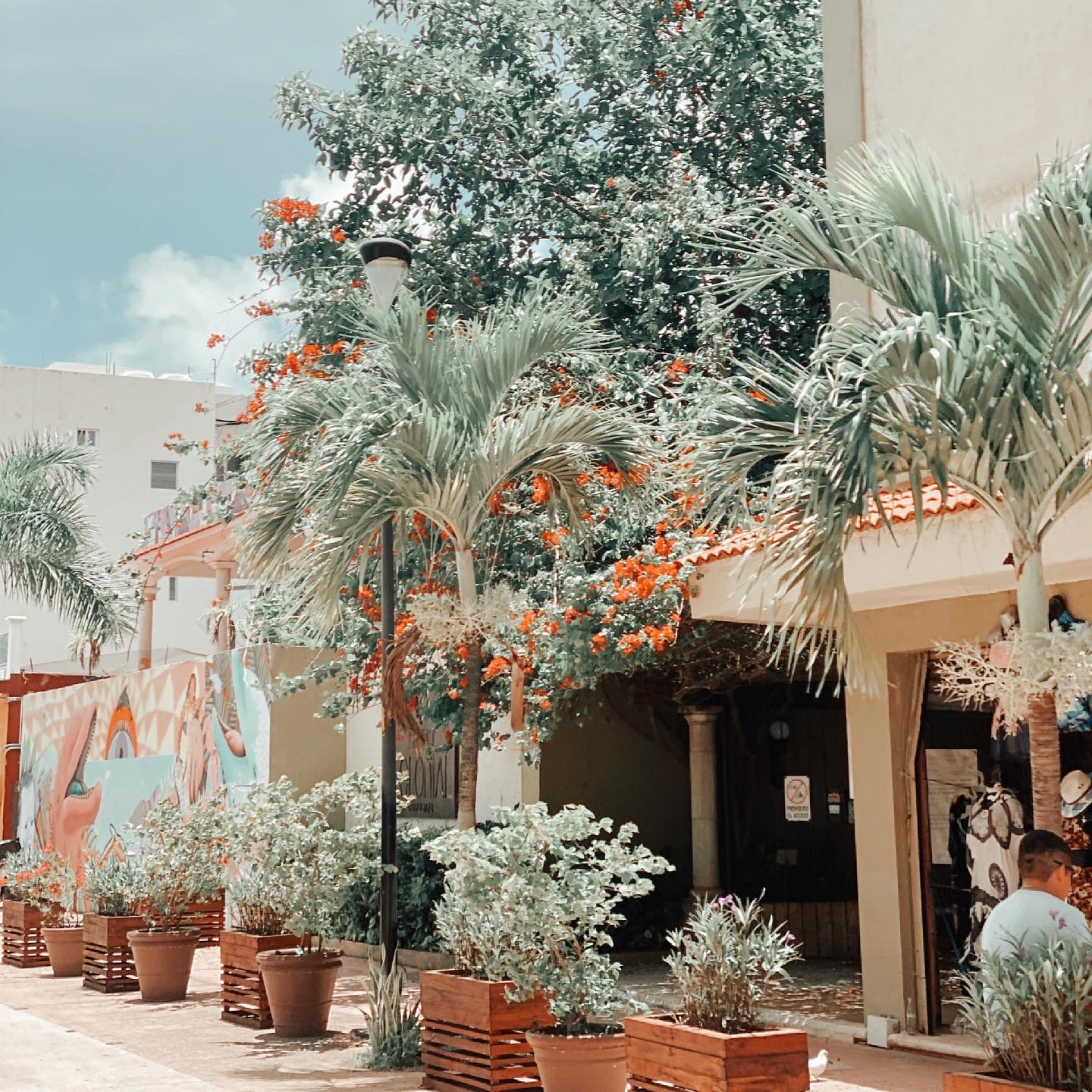 Vacation in Cozumel