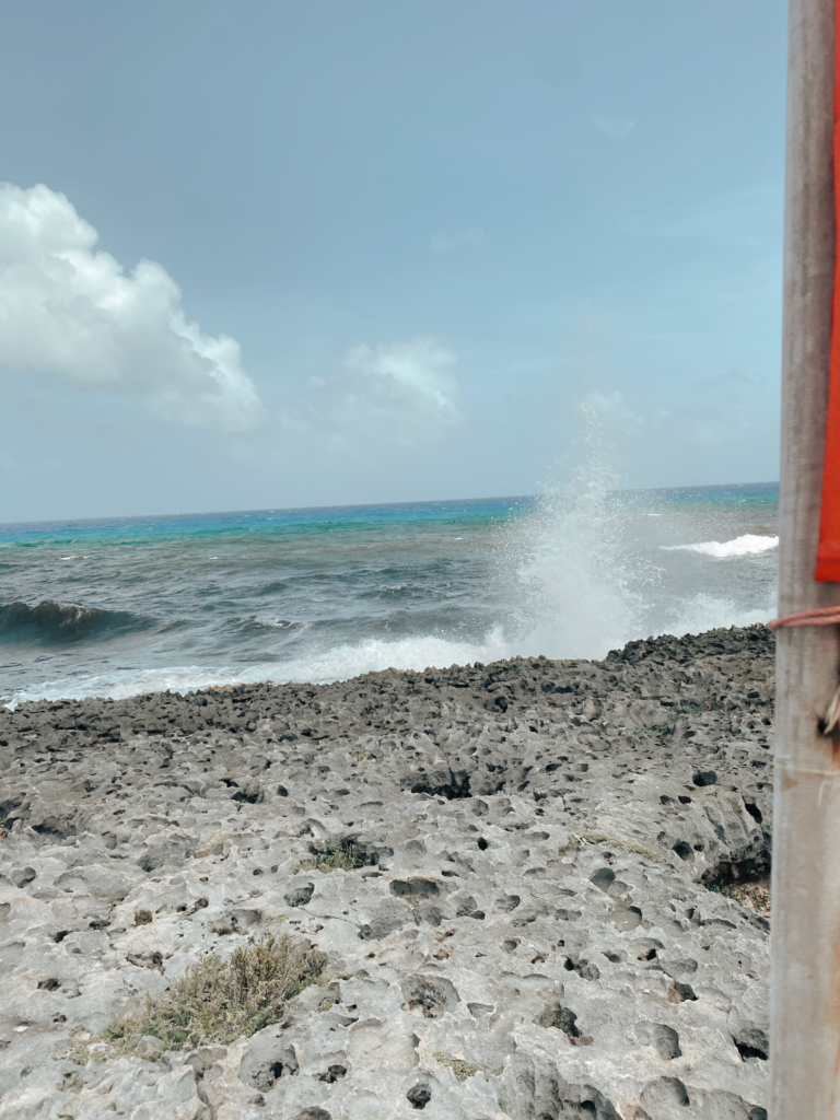 Vacation in Cozumel. 